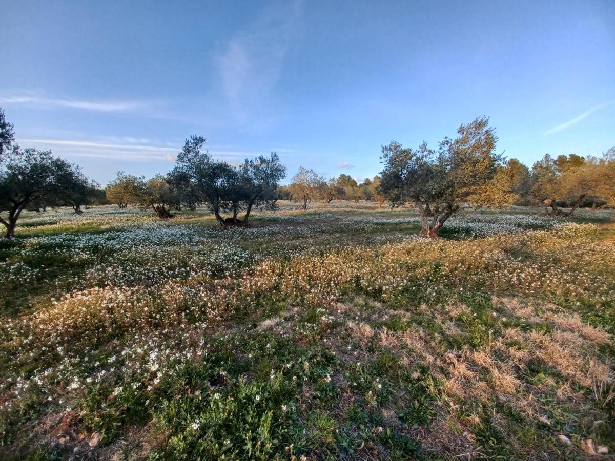 3Natura Avinyonet de Puigventós Kültér fotó